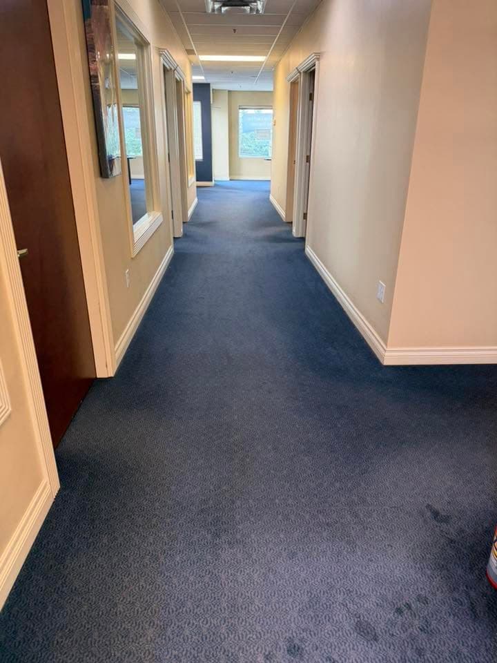 Carpet Steam Cleaning